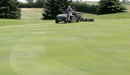 Brushing Greens, MG-GT, thumb